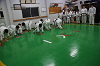 DSC01390[1]_thumb.png